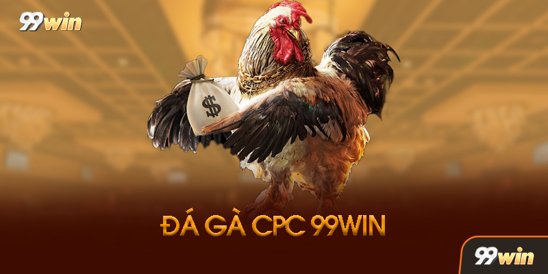 Đá Gà CPC Là Gì? Tìm Hiểu Về Trường Gà Huyền Thoại